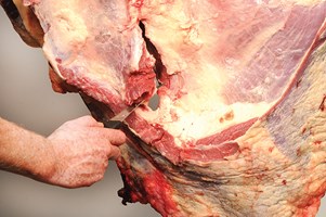 Neck and Chuck Eye bone in Meat Cut Spec Step 1